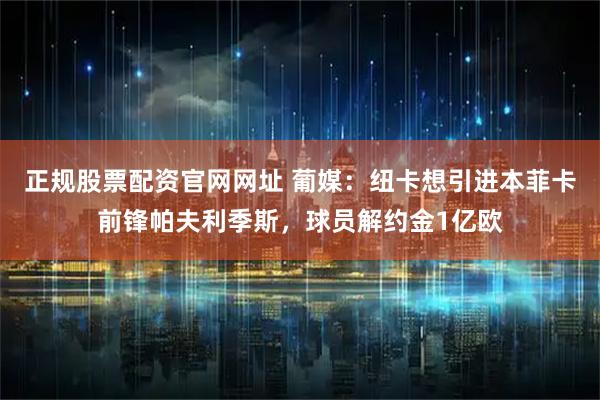 正规股票配资官网网址 葡媒：纽卡想引进本菲卡前锋帕夫利季斯，球员解约金1亿欧